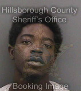 Everett Michael - Hillsborough County, Florida 