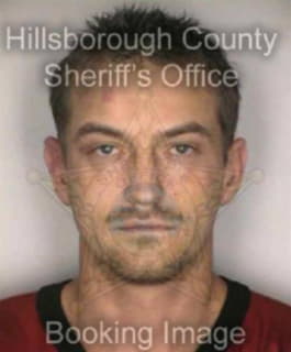 Harris Robin - Hillsborough County, Florida 