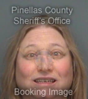 Webb Shannon - Pinellas County, Florida 