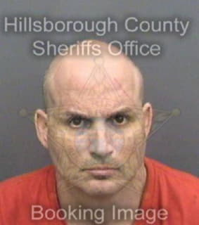 Davis Brian - Hillsborough County, Florida 