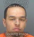 Weedon Michael - Pinellas County, Florida 