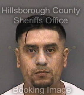 Montero Michael - Hillsborough County, Florida 