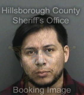 Rodriguezdiaz Miguel - Hillsborough County, Florida 