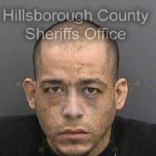 Martinezsantos Nelson - Hillsborough County, Florida 