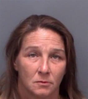 Ray Sherri - Pinellas County, Florida 