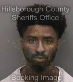 Orr Eric - Hillsborough County, Florida 