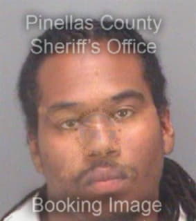 Andrews James - Pinellas County, Florida 