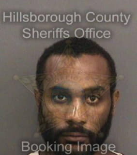 Norwood Robert - Hillsborough County, Florida 