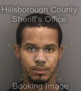 Lee Timothy - Hillsborough County, Florida 