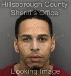 Rosenberg Brenton - Hillsborough County, Florida 