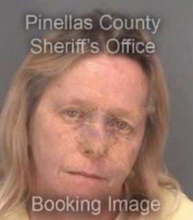 Collins Deana - Pinellas County, Florida 