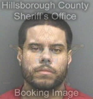 Gonzalez Emanuel - Hillsborough County, Florida 