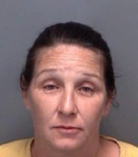 Ray Sherri - Pinellas County, Florida 