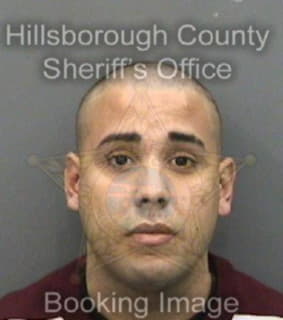 Delgado Ismaaeel - Hillsborough County, Florida 