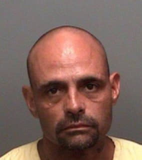 Meziere Joseph - Pinellas County, Florida 