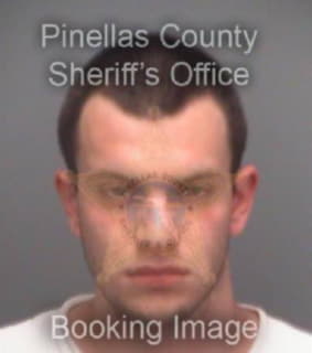 Waterson Ryan - Pinellas County, Florida 