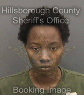 Carroll Valencia - Hillsborough County, Florida 