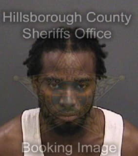 Garcia Ricardo - Hillsborough County, Florida 