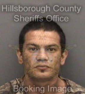 Meza Alejandro - Hillsborough County, Florida 