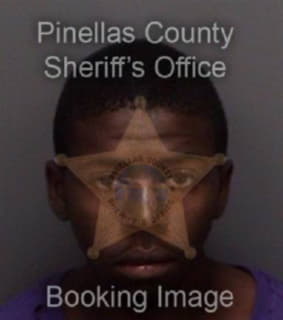 Richardson James - Pinellas County, Florida 