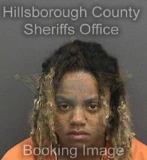 Anderson Jne - Hillsborough County, Florida 