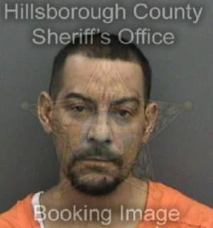 Melendez Jorge - Hillsborough County, Florida 