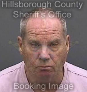 Dobin David - Hillsborough County, Florida 