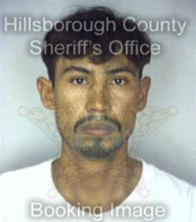 Villalobos Joshua - Hillsborough County, Florida 