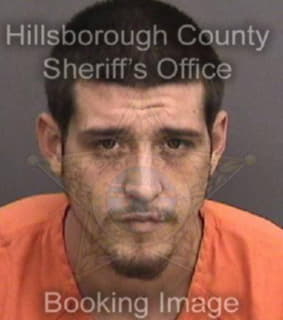 Velasquez Anthony - Hillsborough County, Florida 