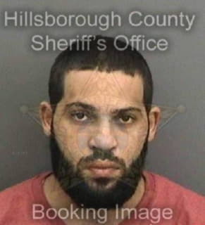 Anderson Antonio - Hillsborough County, Florida 