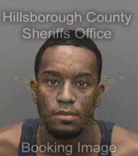 Bivins Darren - Hillsborough County, Florida 