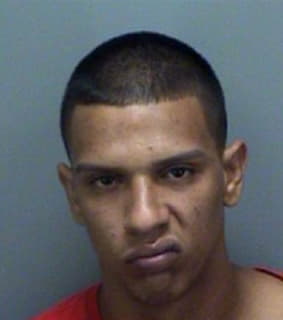 Gomez Hector - Pinellas County, Florida 