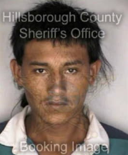 Perez Sixto - Hillsborough County, Florida 