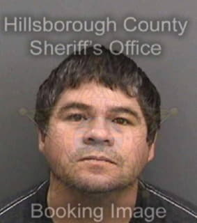 Rodriguez Fernando - Hillsborough County, Florida 