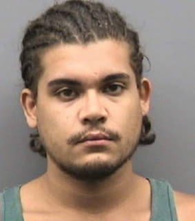 Ramos Joshua - Hillsborough County, Florida 