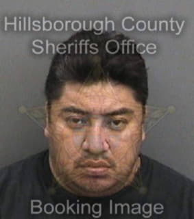 Martinezvasquez Victoriano - Hillsborough County, Florida 