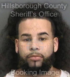 Rivera Elias - Hillsborough County, Florida 