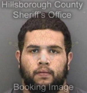 Perez Jackson - Hillsborough County, Florida 