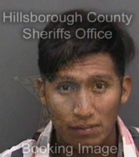 Matiascardona Maycol - Hillsborough County, Florida 