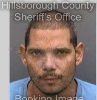 Cartagena Eliezer - Hillsborough County, Florida 