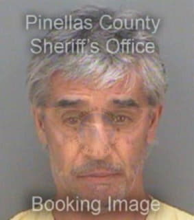 Rakic George - Pinellas County, Florida 