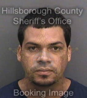 Delgado Hector - Hillsborough County, Florida 