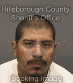 Pinzonpablo Jose - Hillsborough County, Florida 