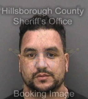 Mendez Pedro - Hillsborough County, Florida 