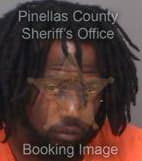 Mcglorthon Vontez - Pinellas County, Florida 