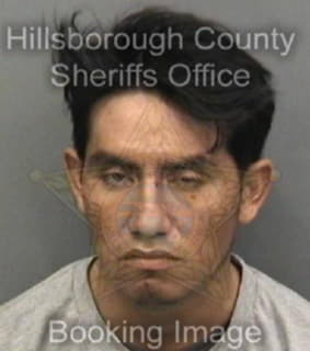 Mendez Abimael - Hillsborough County, Florida 