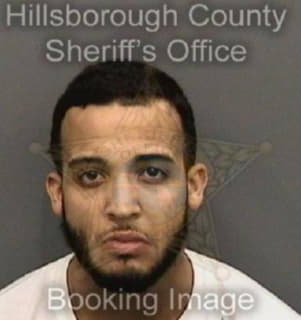 Rodriguez Carlos - Hillsborough County, Florida 
