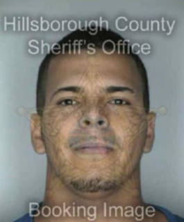 Diaz Jose - Hillsborough County, Florida 