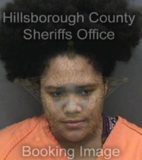 Rodrigues Kaelynn - Hillsborough County, Florida 