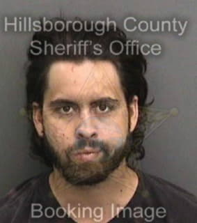 Ambeau Austen - Hillsborough County, Florida 